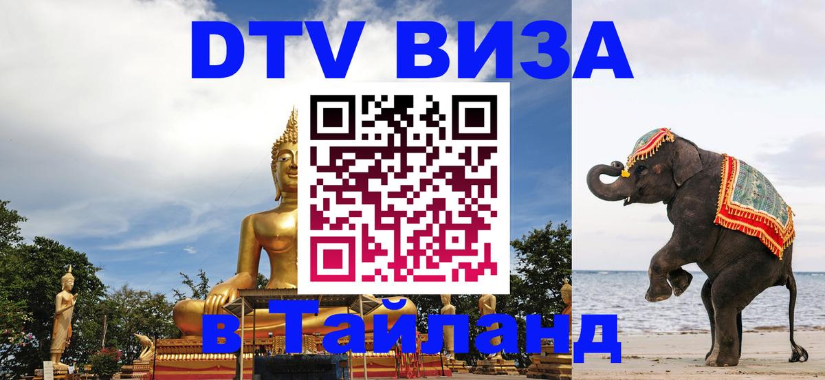 Сколько стоит DTV виза — актуальные цены, оформление даже без документов - 